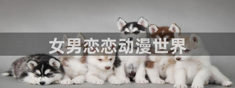 未确认进行式风车动漫：女男恋恋动漫世界