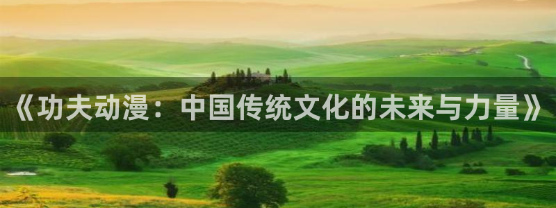 风车动漫网手机版：《功夫动漫：中国传统文化的未来与力量》