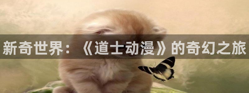 风车动漫:：新奇世界：《道士动漫》的奇幻之旅