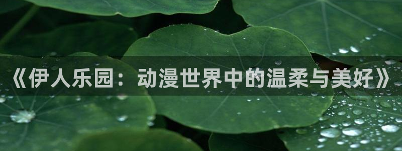 风车动漫无职转生：《伊人乐园：动漫世界中的温柔与美好》