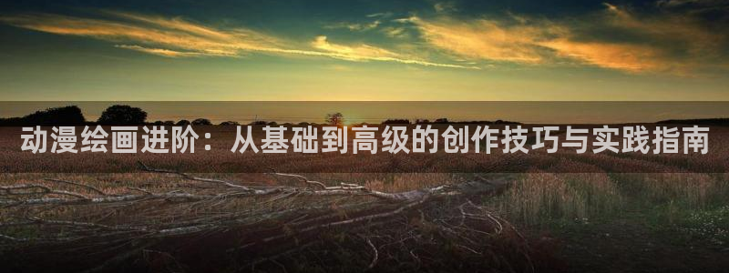 风车动漫网站大全：动漫绘画进阶：从基础到高级的创作技巧与实践指南