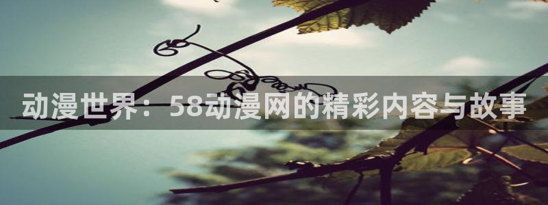 风车动漫日本动漫在线观看：动漫世界：58动漫网的精彩内容与故事